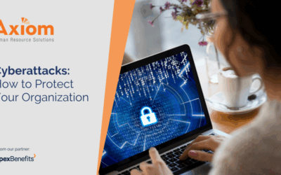 Cybersecurity: The Fight Against Scammers