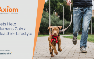 Axiom Human Resource Solutions graphic featuring a person walking a dog, promoting the idea that pets help humans gain a healthier lifestyle.