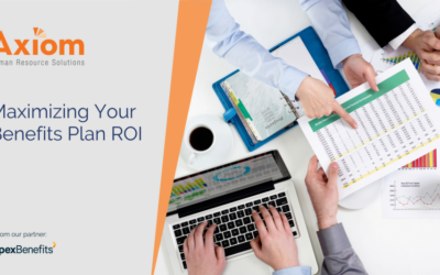 Maximizing Benefits Plan ROI Starts with a Peer Review